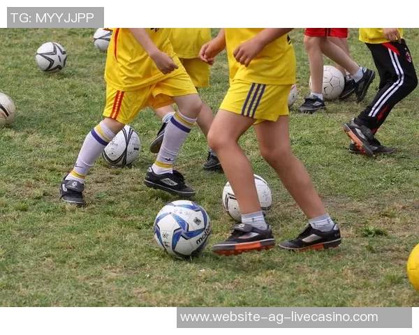 足球在促进身体健康增强团队合作与提升社会交往中的重要作用探讨